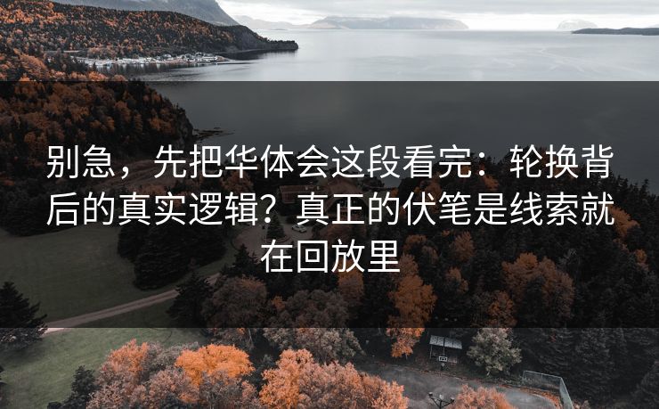 别急，先把华体会这段看完：轮换背后的真实逻辑？真正的伏笔是线索就在回放里