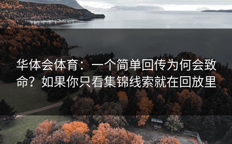 华体会体育：一个简单回传为何会致命？如果你只看集锦线索就在回放里