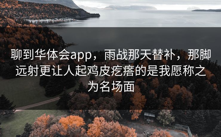 聊到华体会app，雨战那天替补，那脚远射更让人起鸡皮疙瘩的是我愿称之为名场面